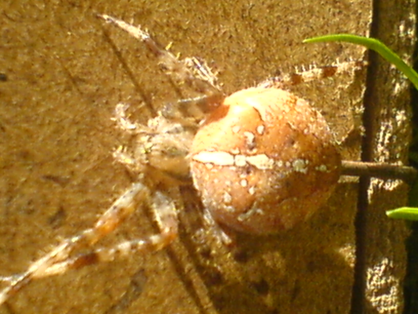 DSC00038.JPG