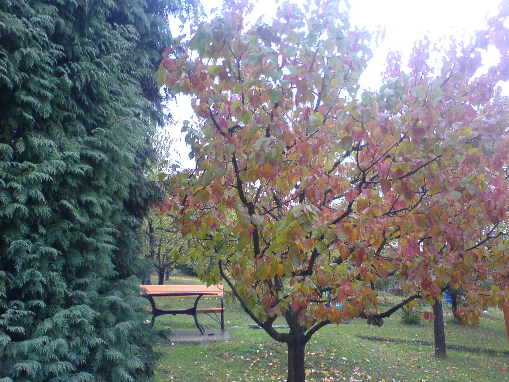 DSC00032.JPG