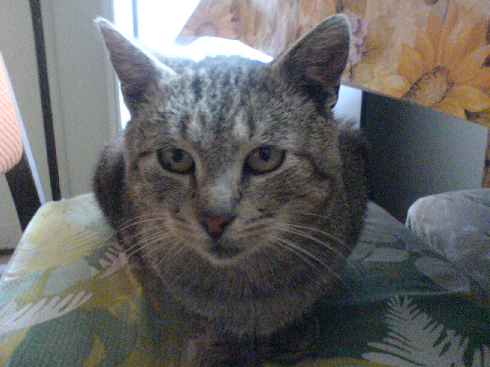 DSC00058.JPG