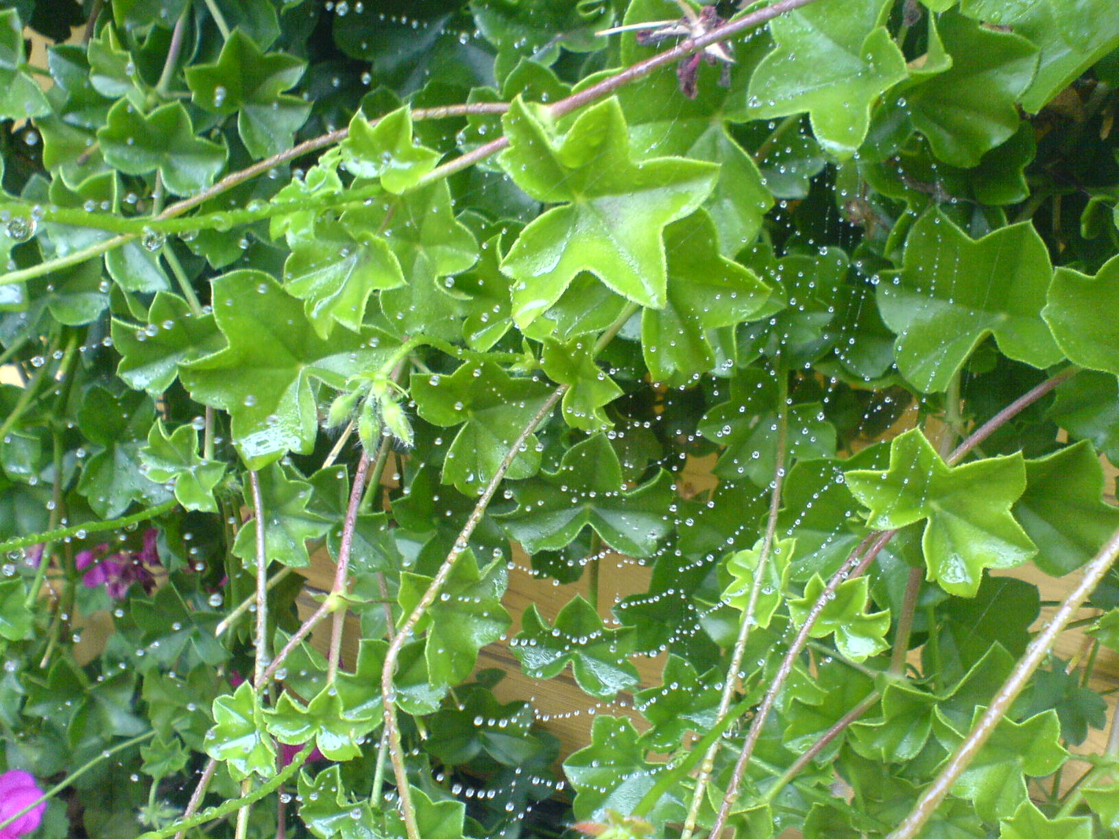 DSC00029.JPG