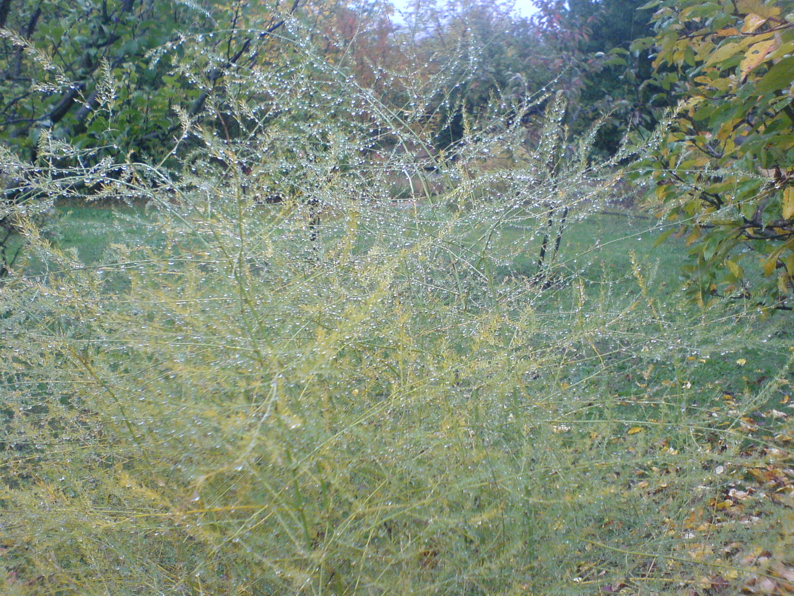 DSC00030.JPG