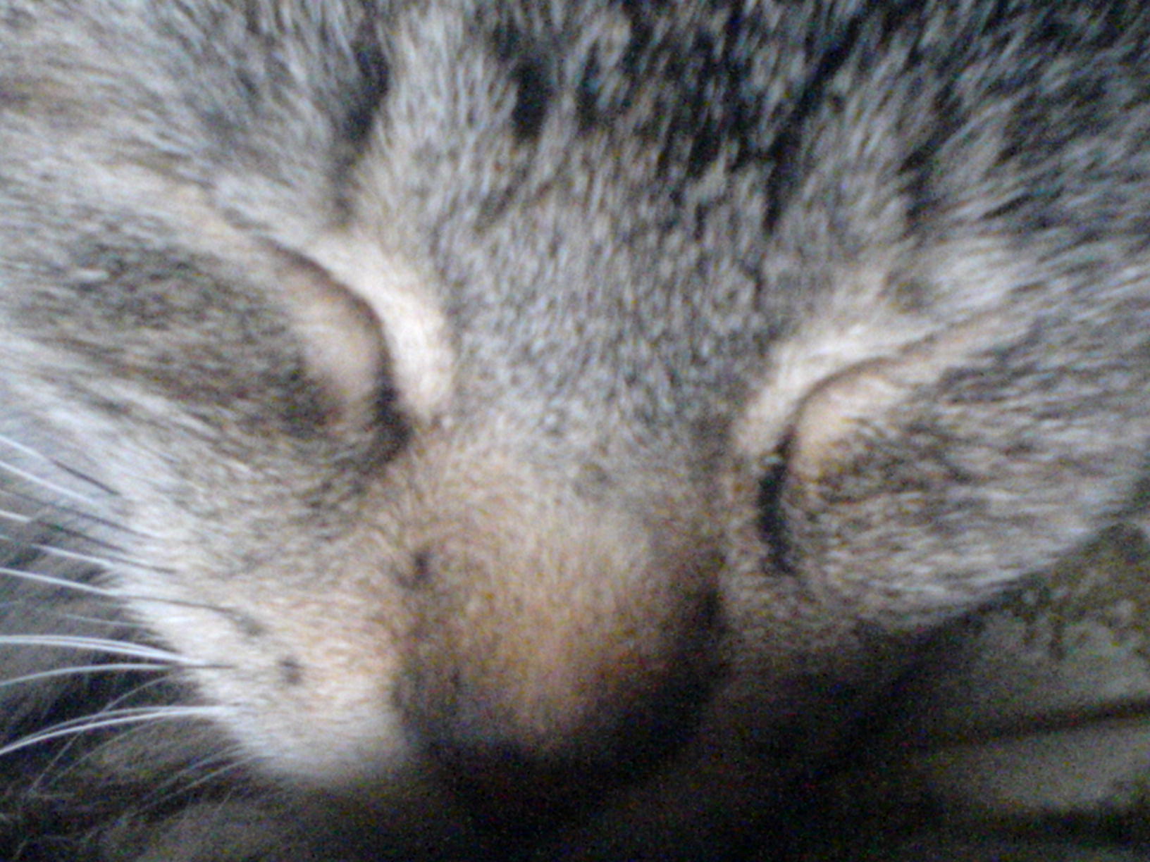 DSC00181.JPG