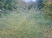 DSC00030.JPG